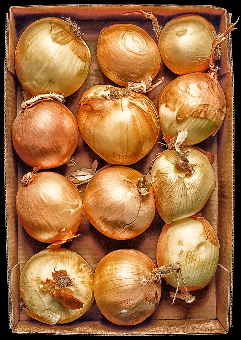 Onions in a Box
